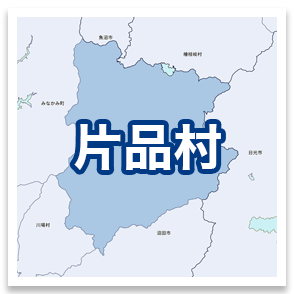 片品村