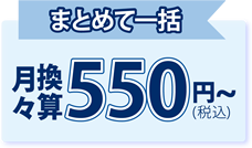 まとめて一括・月々換算550円(税込)~