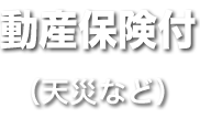 動産保険付(天災など)